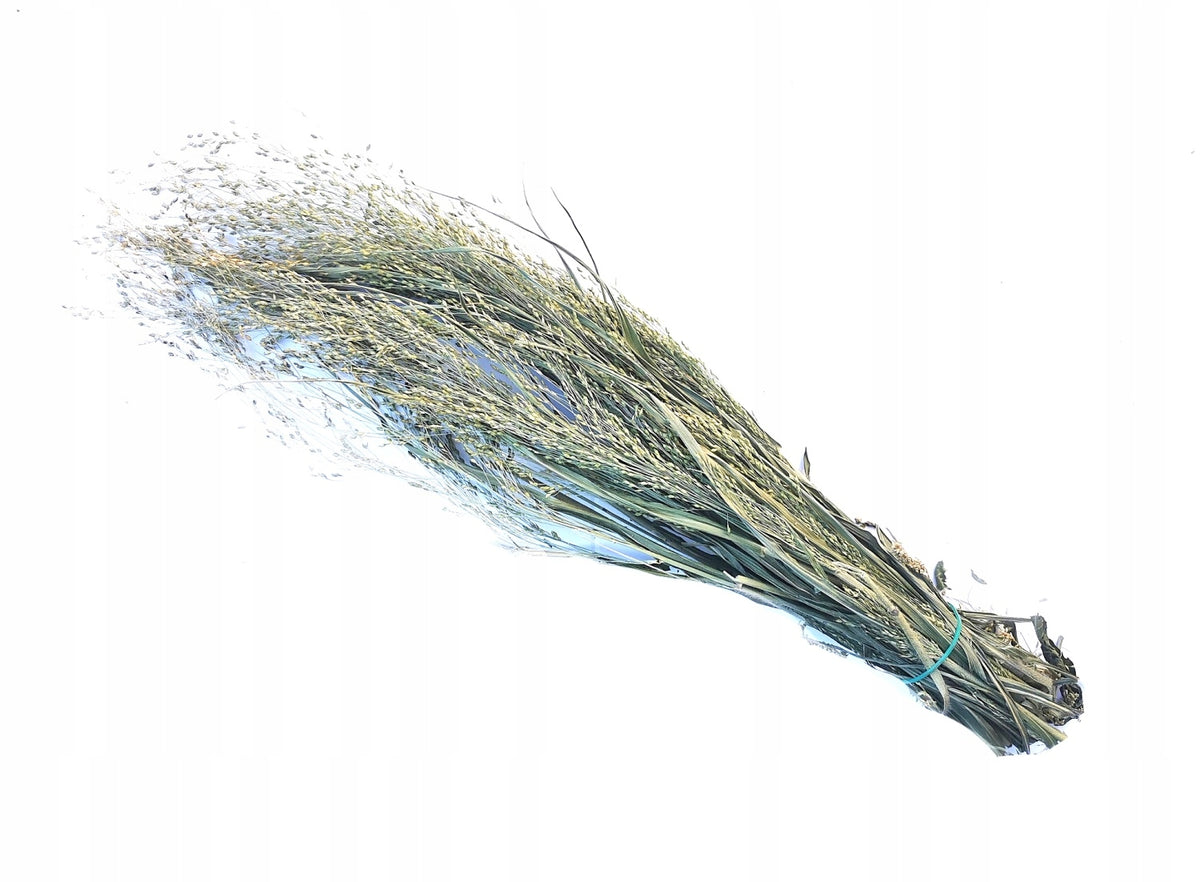 Hipcio Millet Green 50g