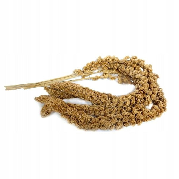 Hipcio Senegalese Millet 100g