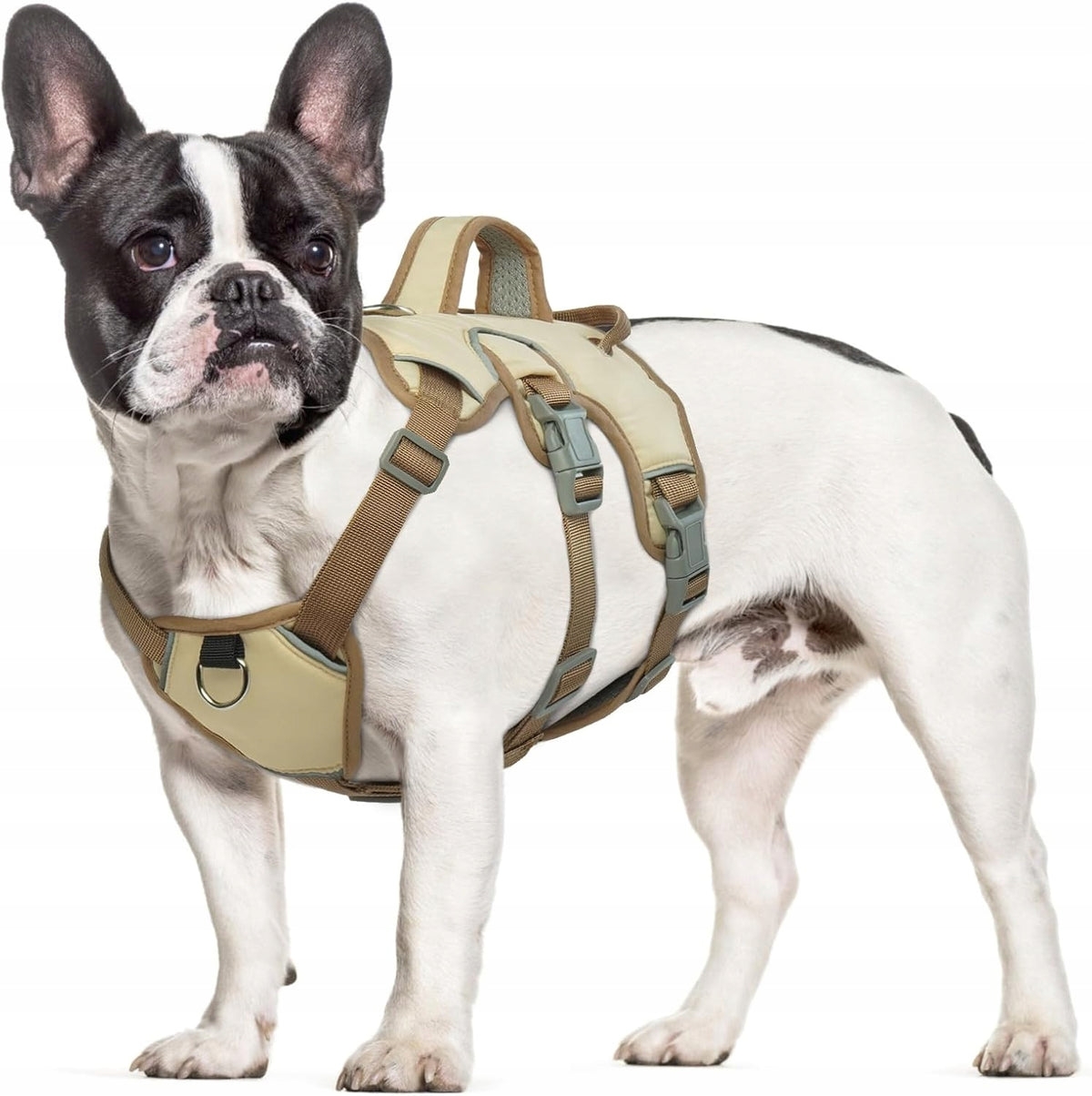 Hjumarayan Dog Harness - Preventing Pulling, (Beige) - size S