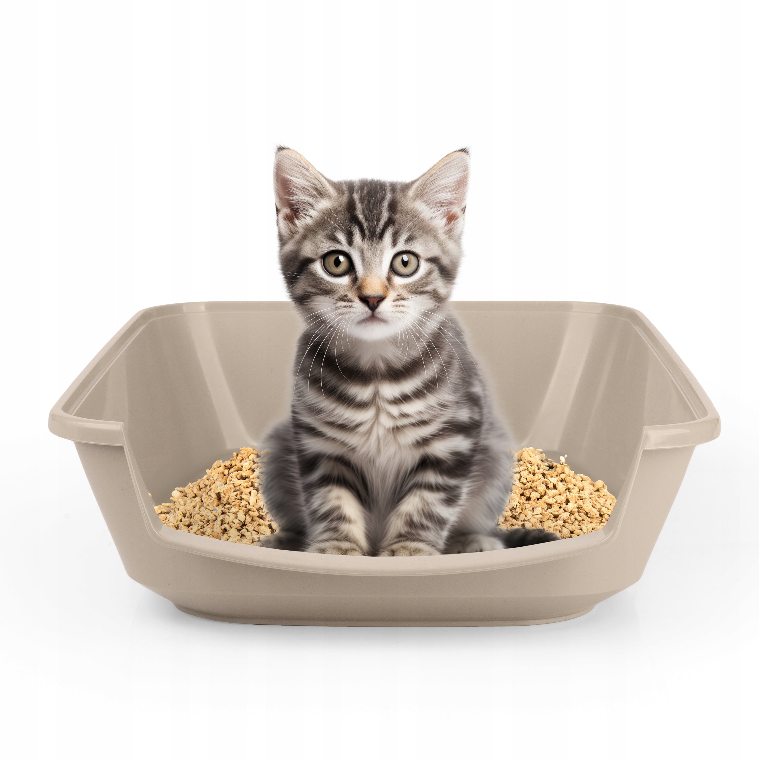 Hocky Toilet Cuvette for Litter Marylo with Lowered Entrance for Kittens Cat Brand Hocky