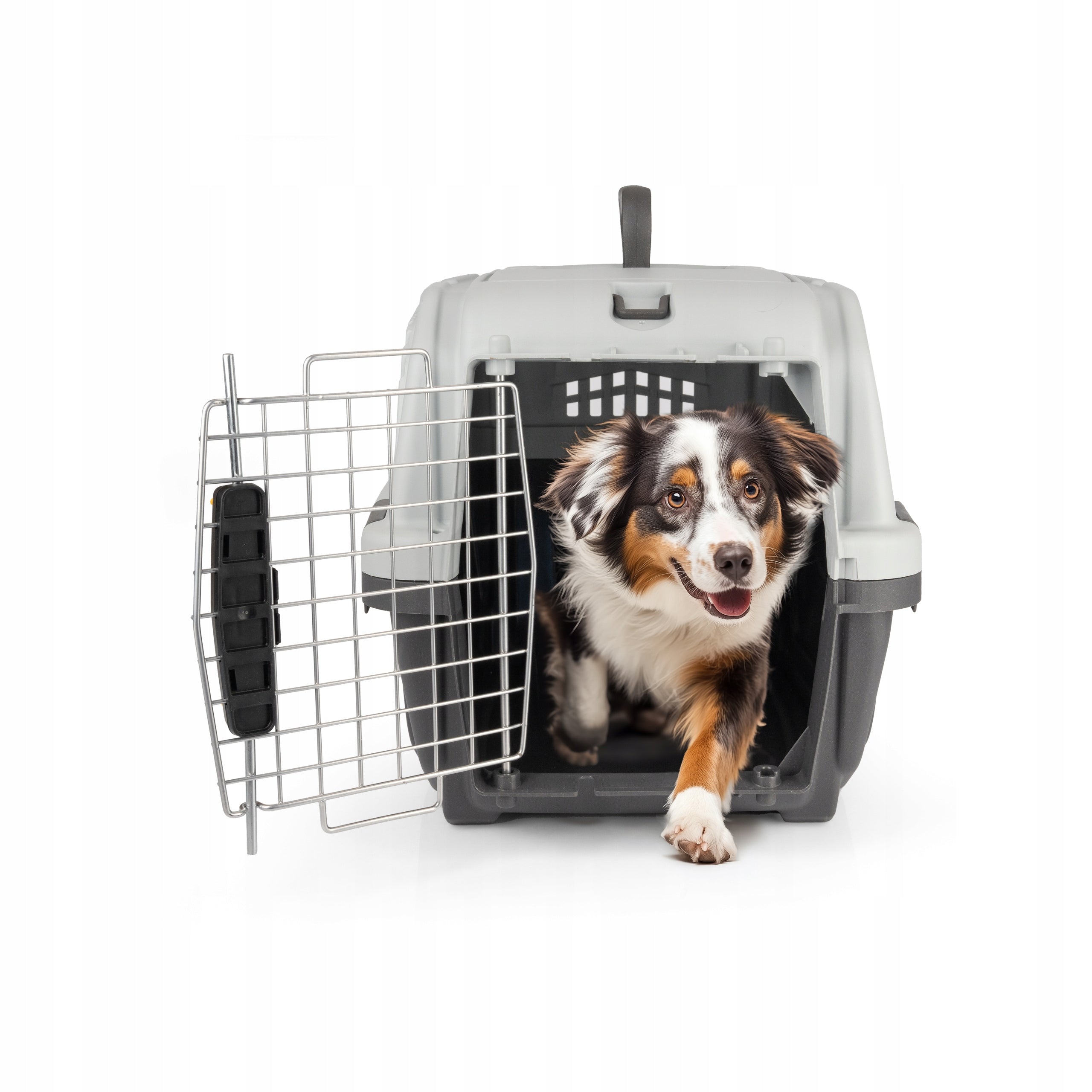 Hocky Transporter Dog Bag Metal Door Lock Grey up to 24 kg Trade name Transporter dla Psa metalowe drzwi do 24 kg