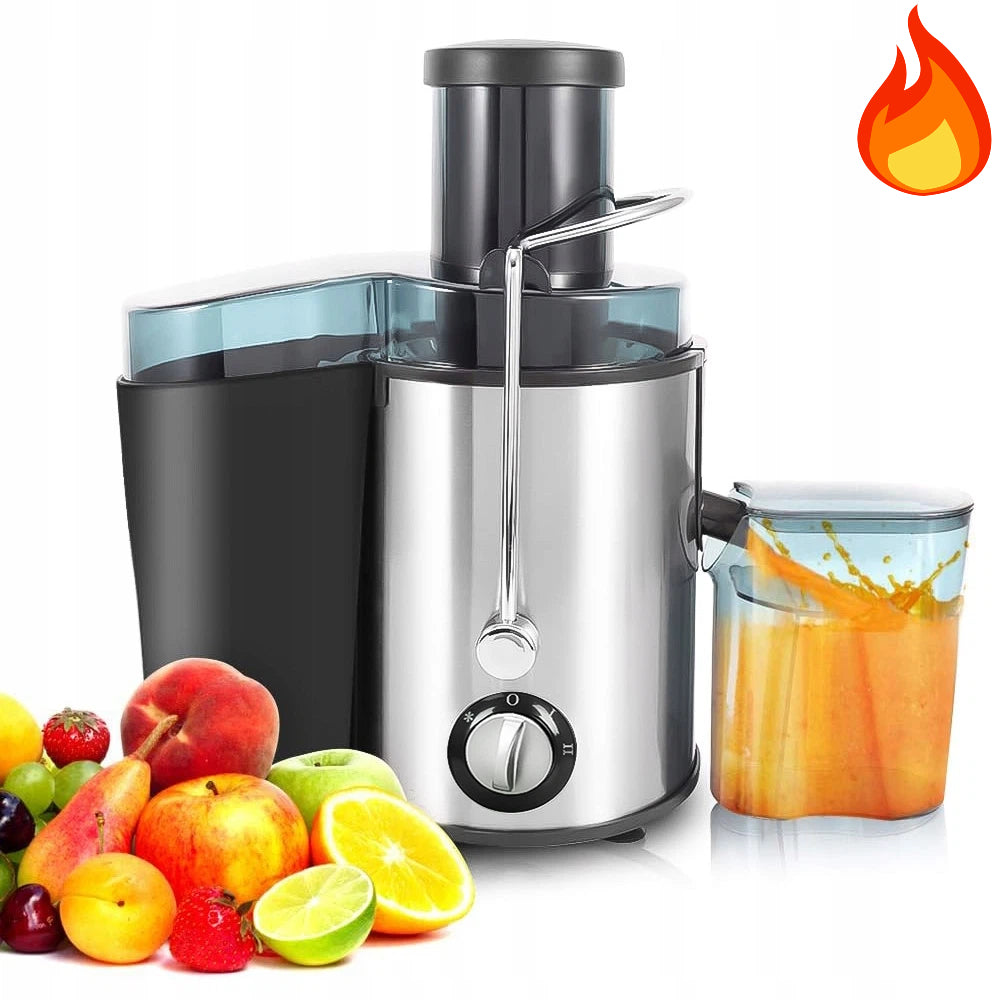 Home Juicer 1000W Juicer 2 Speeds 500ml Silver Modern