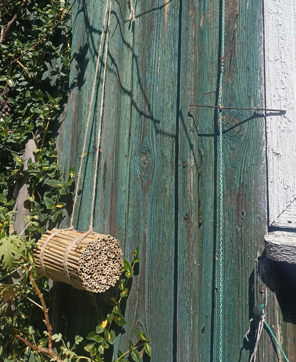 Hotel insect house reed for bee insects scissor pollinators Manufacturer code St