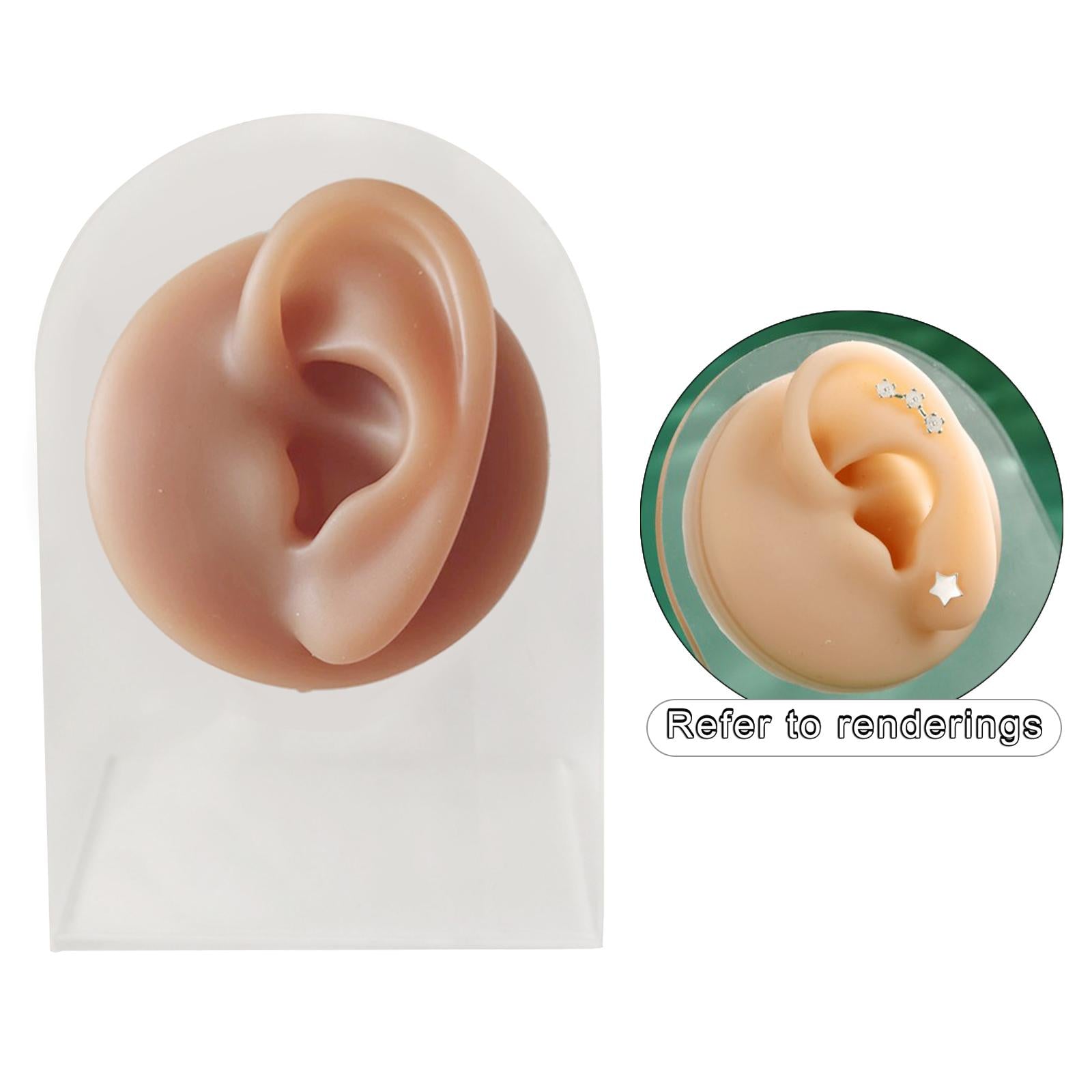Human Body Part Models Silicone Modeling Texture Free left ear with stand Medical device type accessories for a medical device or a product without an intended medical purpose