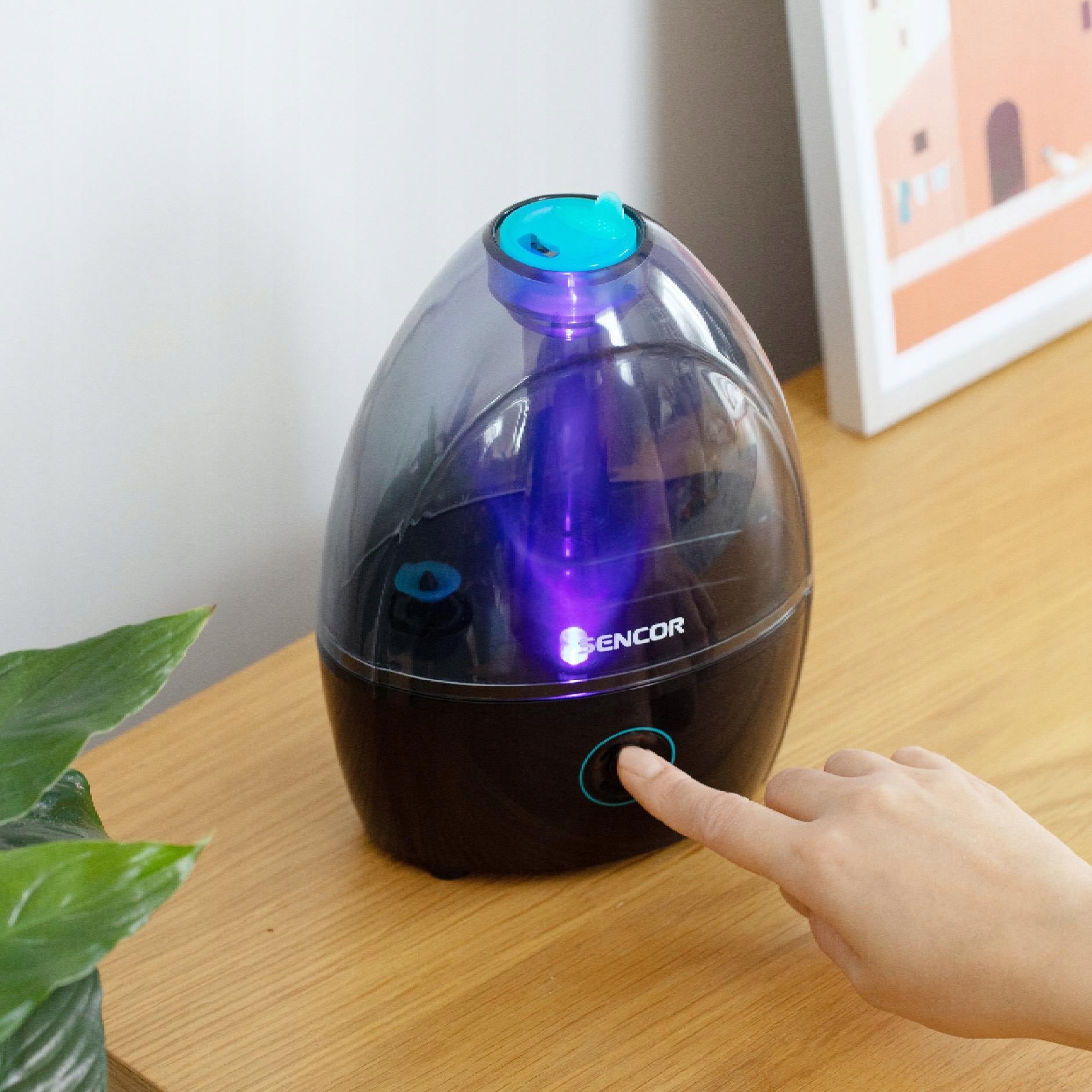 Humidifier Sencor SHF 902BK 90 ml/h 18m2 Model SHF 902BK