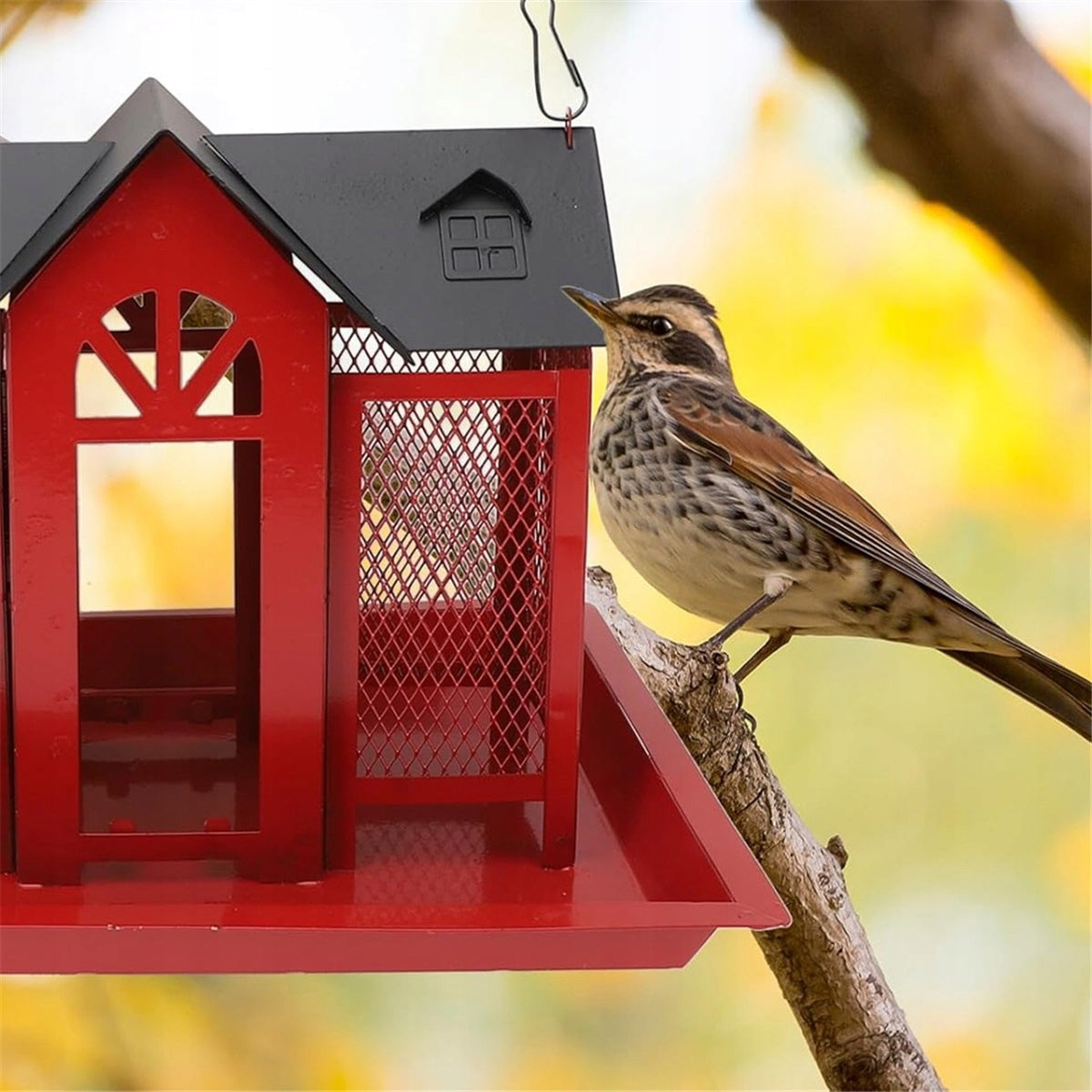 Hummingbird Feeder Hanging For Hanging On Tree And Balcony Feeder Manufacturer Bedee