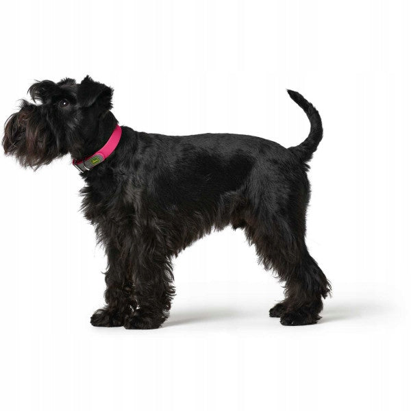 Hunter Dog Collar Convenience 35 raspberry Manufacturer code 4016739689016