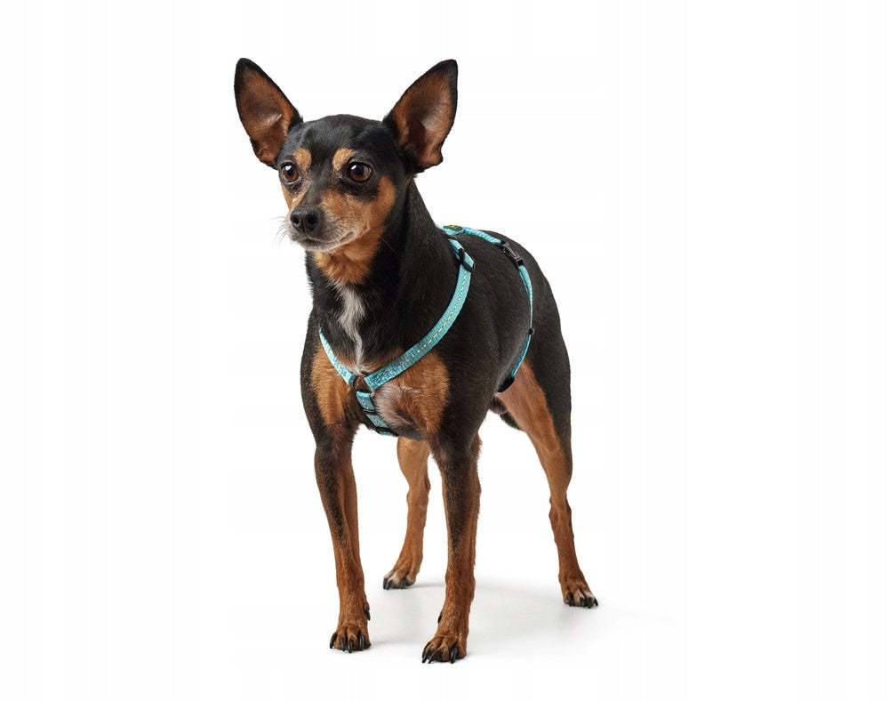 Hunter Harness for small dog XS/S blue Brand Hunter