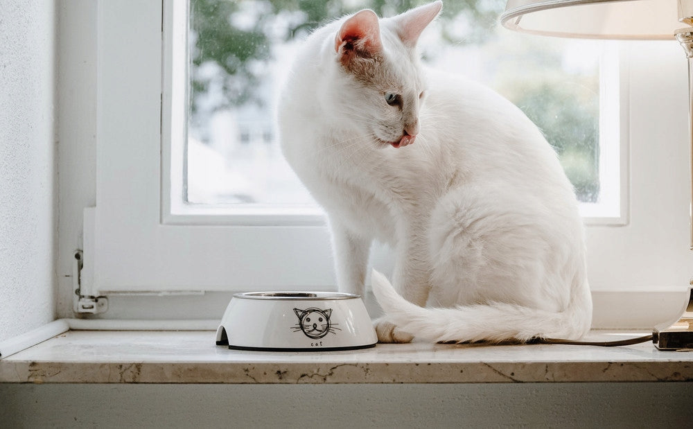 Hunter Milos Cat Bowl 160 ml Diameter 11 cm