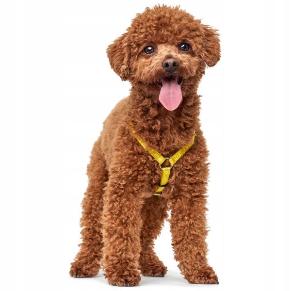 Hunter TRIPOLI harness for small dog XXS/XS yellow Manufacturer code 65538