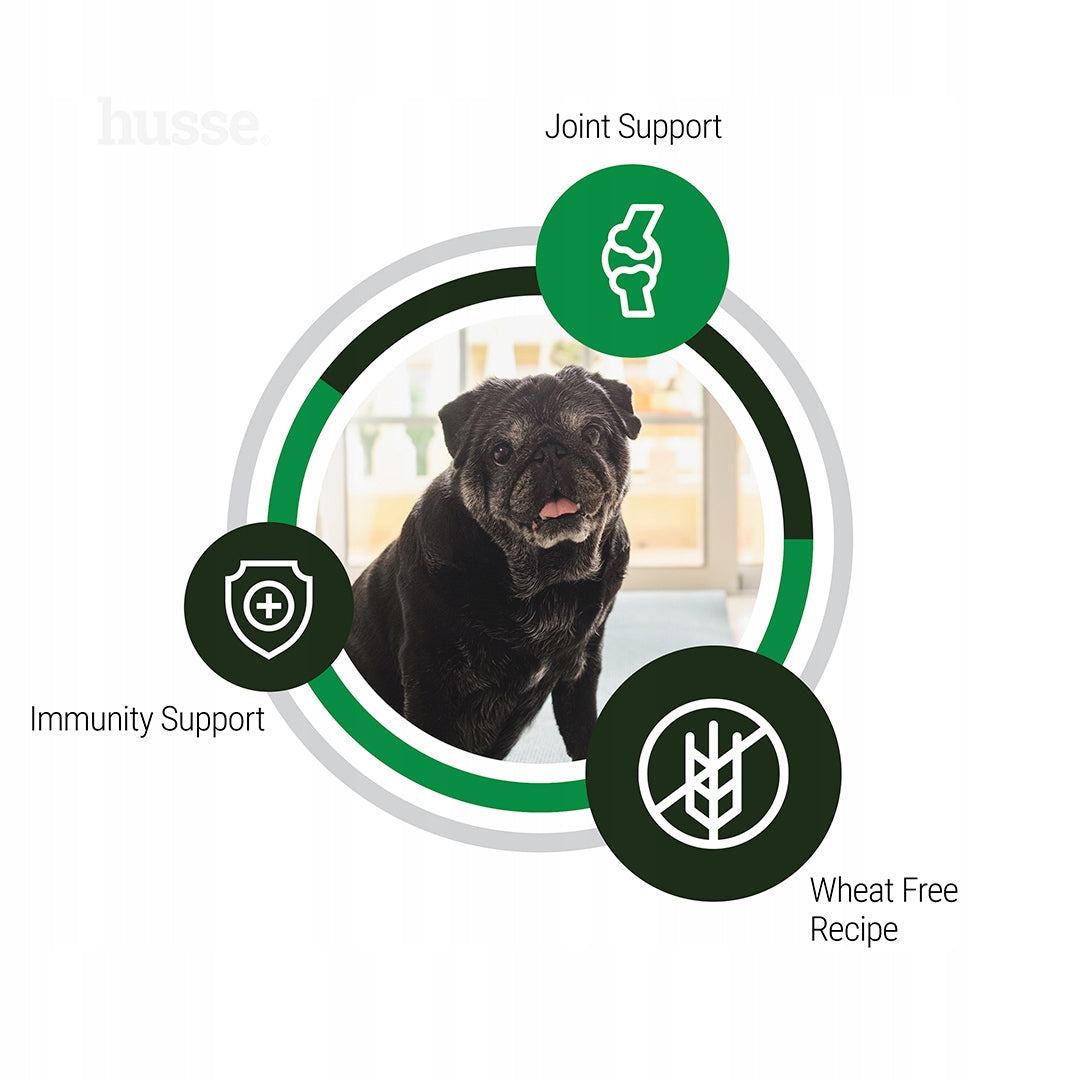 Husse Senior Ageing Support (D. Senior Mini), small breeds, 7 kg, older dogs Manufacturer code 7350049328461