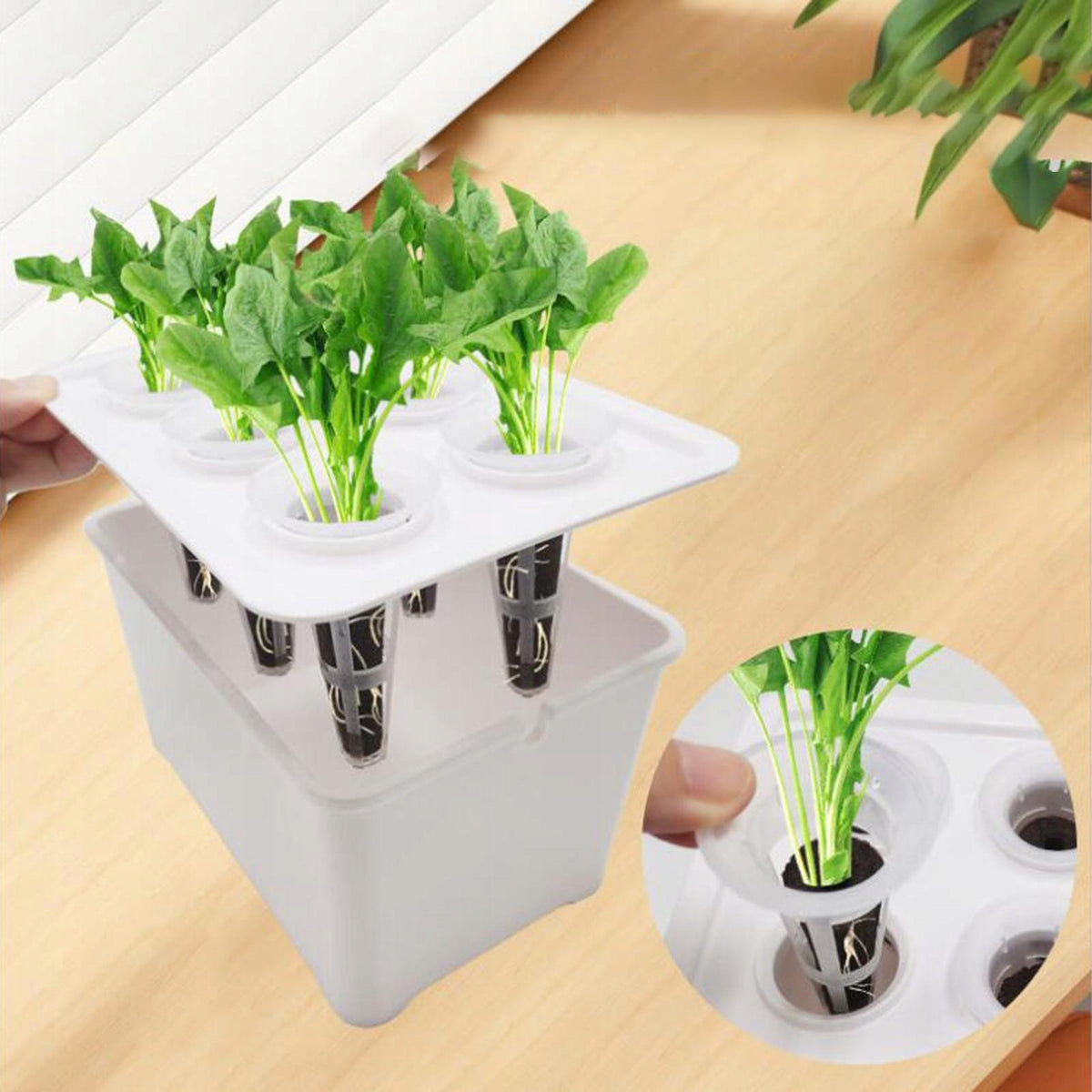 Hydroponics Growing System Kit, Hydroponics Grower Wear Resistant Black Packaging status original