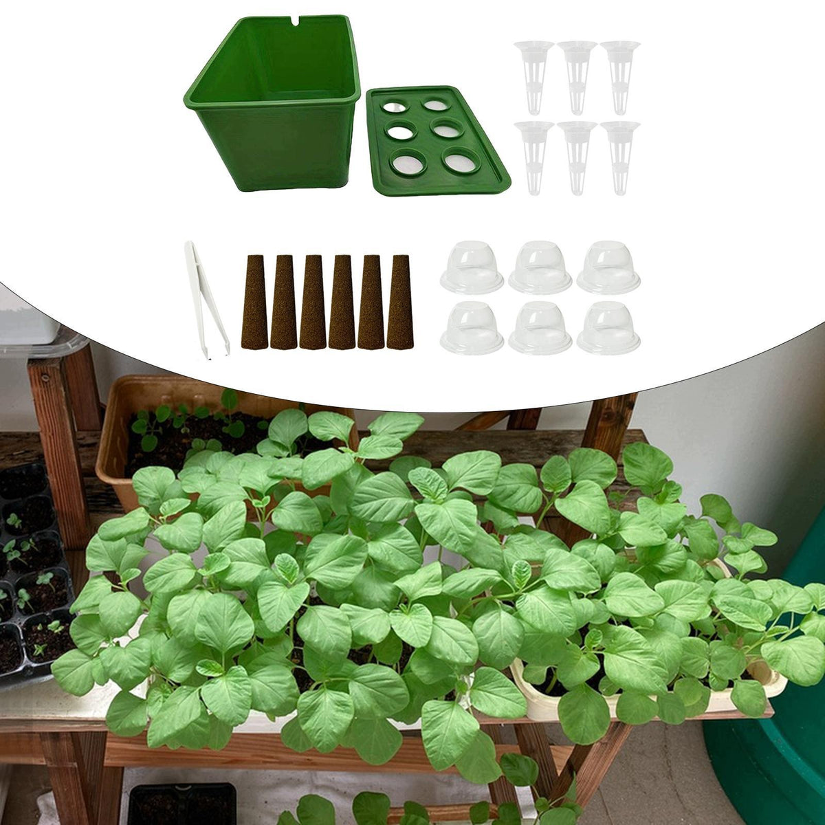 Hydroponics Growing System Kit Planting Container for Garden Office Green