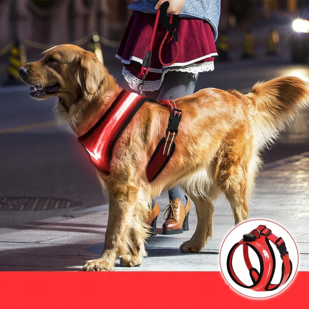 ILLUMINATED ADJUSTABLE HARNESS WITH LEASH 150CM FOR DOG RED SIZE XL Kind walking harness