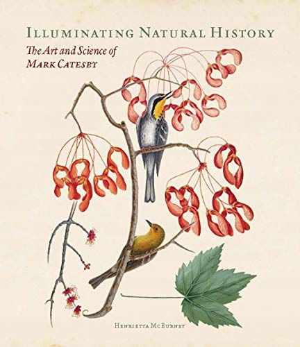 Aufschlussreiche Naturgeschichte: Die Kunst und Wissenschaft von Mark Catesby 