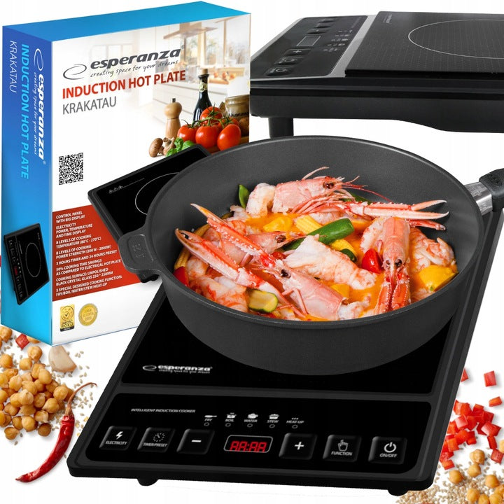 INDUCTION COOKER SINGLE-BURNER HOB