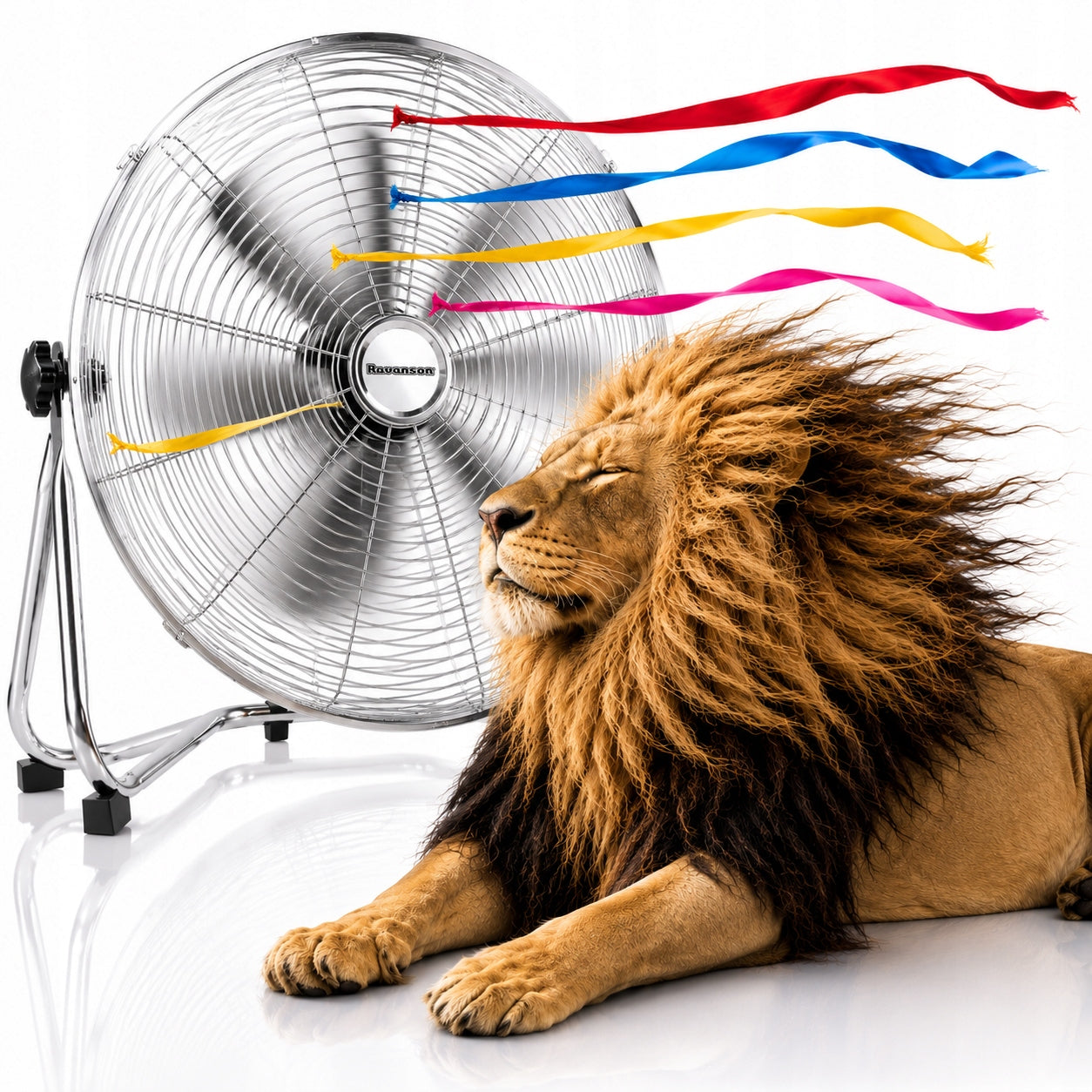 INDUSTRIAL FAN RAVANSON WT-7045 110W 3969 m³/h CIRCULATOR LARGE 45CM