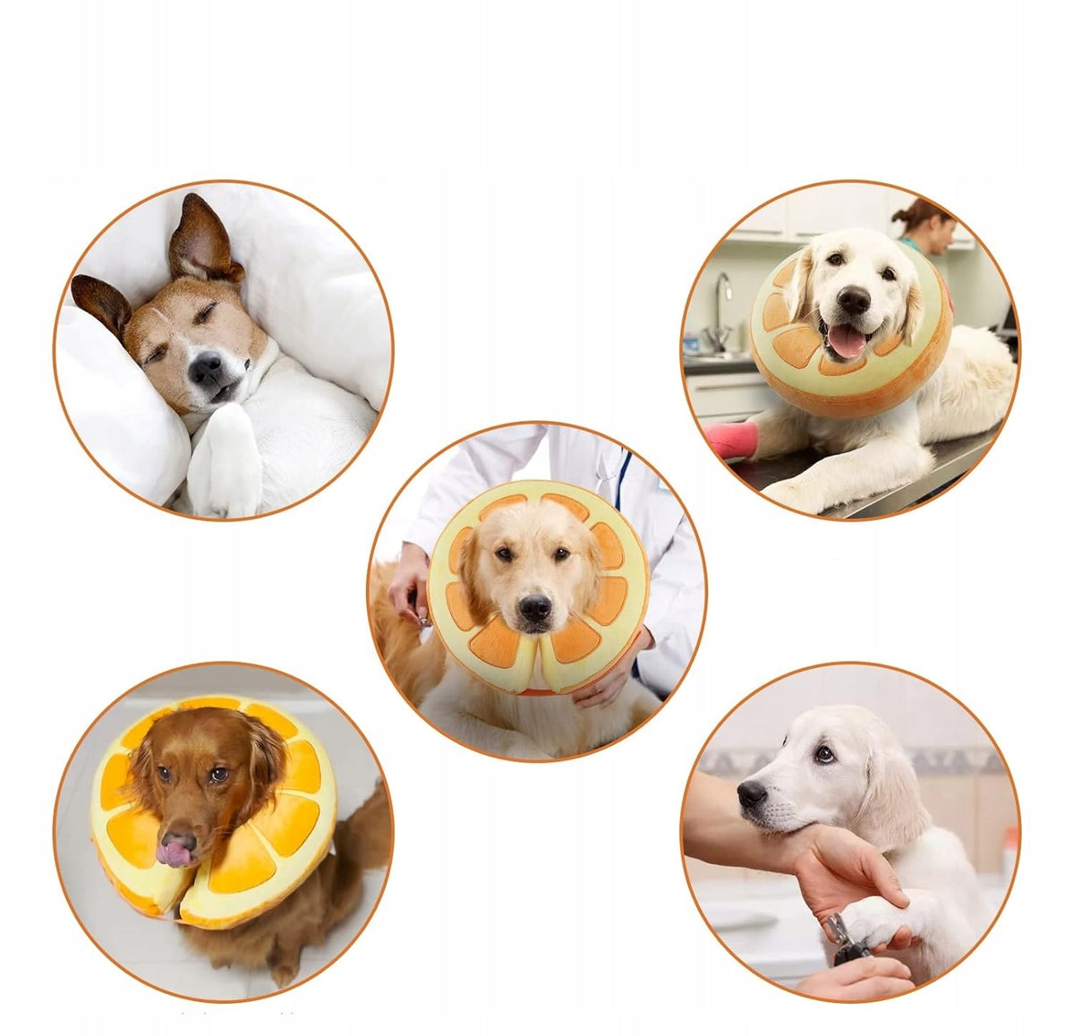 INFLATABLE DOG COLLAR ORANGE PATTERN SIZE S Manufacturer code B0B8CGC2B9