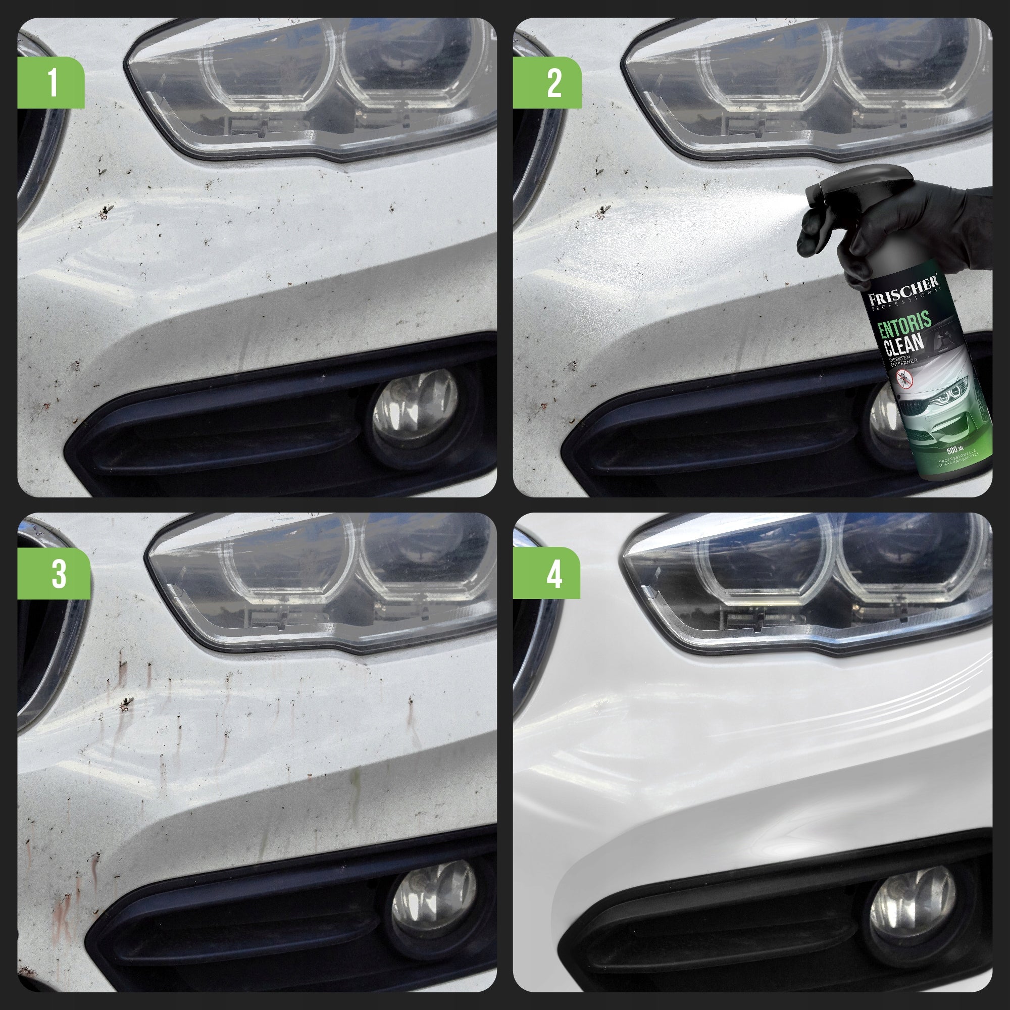 INSECT REMOVER FROM THE BODY 1000ml FRISCHER PROFESSIONAL Packaging capacity 1000 ml