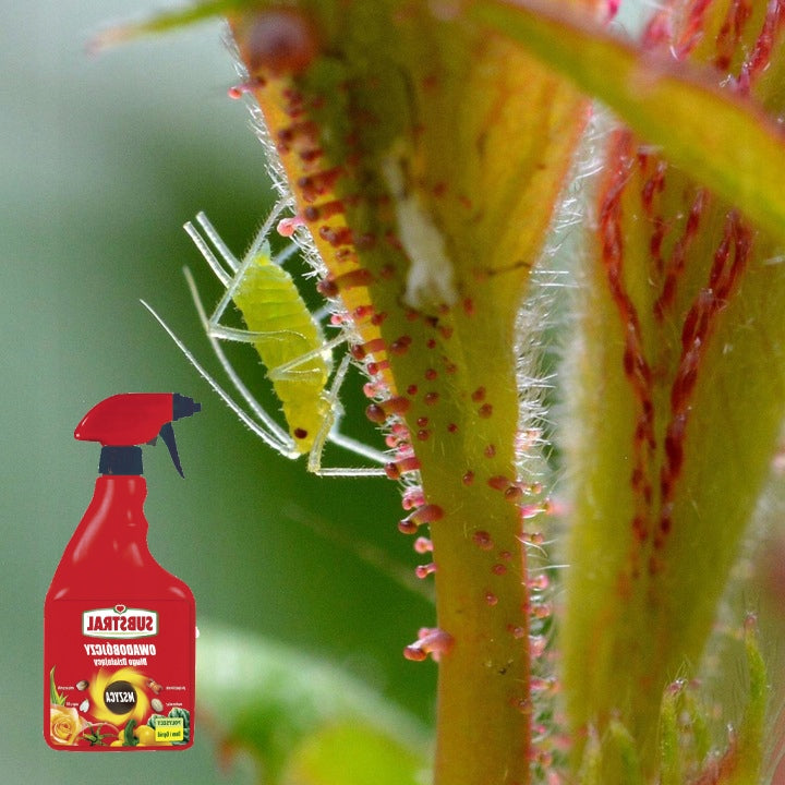INSECTICIDE Substral Polysect Hobby Liquid 750 ml Agent type multicomponent
