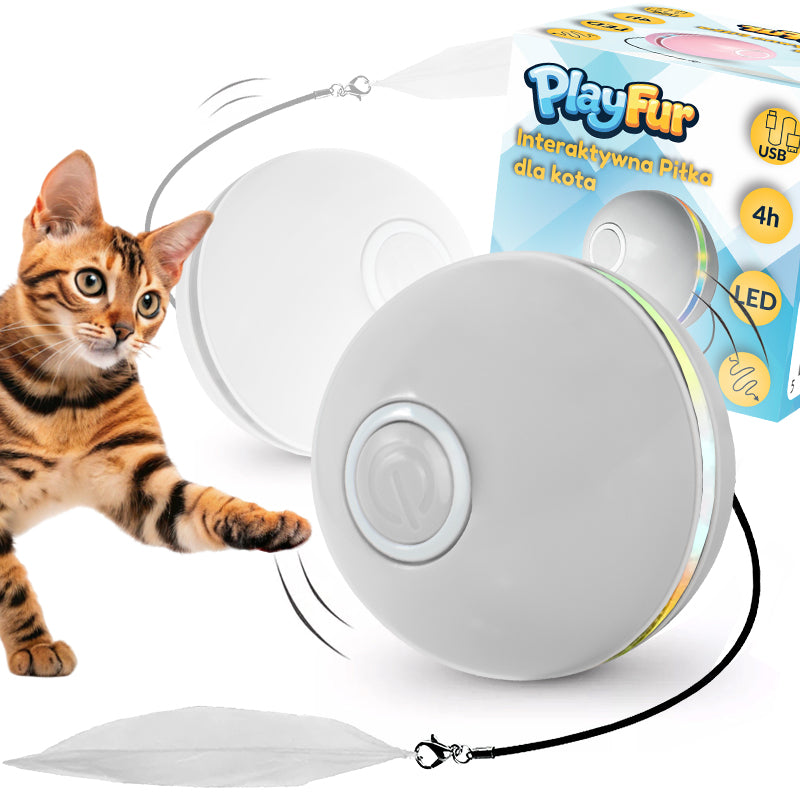 INTERACTIVE CAT TOY ESCAPING USB BALL FOR INDEPENDENT PLAY