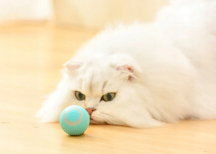 INTERACTIVE MOVING BALL ESCAPING PLAY BALL FOR CAT DOG MINT