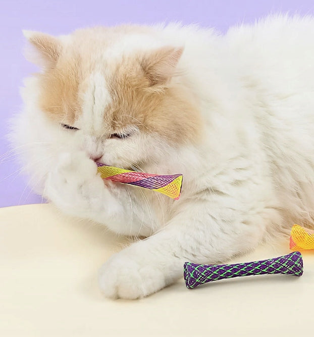 INTERACTIVE TOY FOR CAT TUBE SPRINGS WITH CATNIP 3 PIECES ROLLED Manufacturer code SDK43