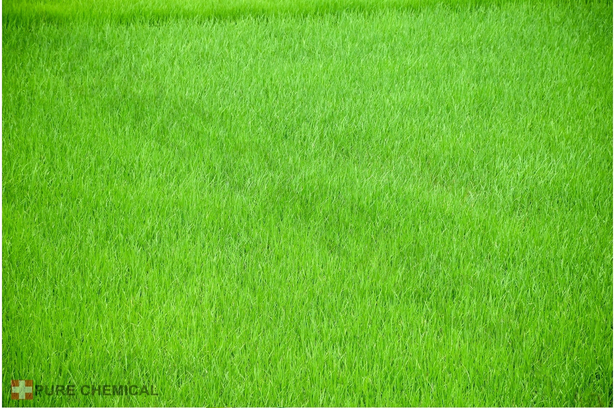 IRON SULFATE FOR LAWN MOSS 5KG HEPTAHYDRATE LOOSE CLEAN BUCKET Weight 5 kg