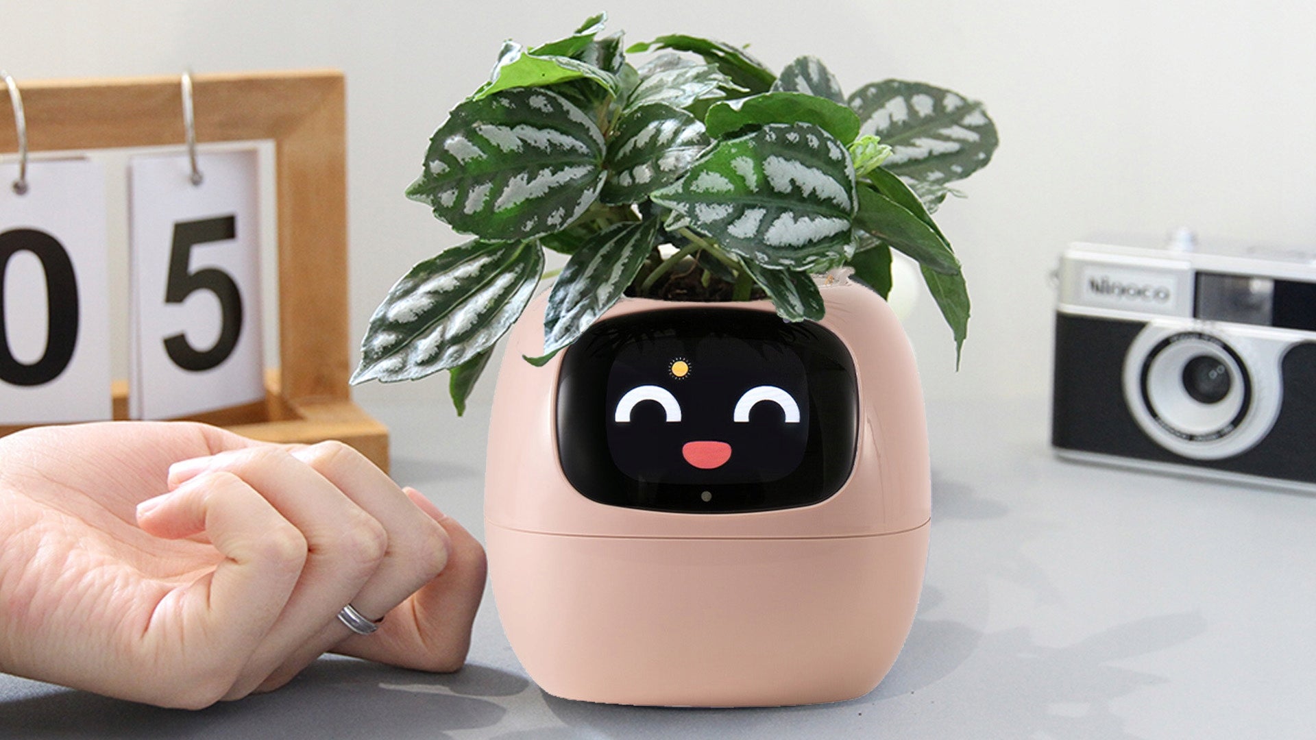 IVY PLANTER Flower Pot Smart Cover SMART Planter Gardening Tips Brand no brand
