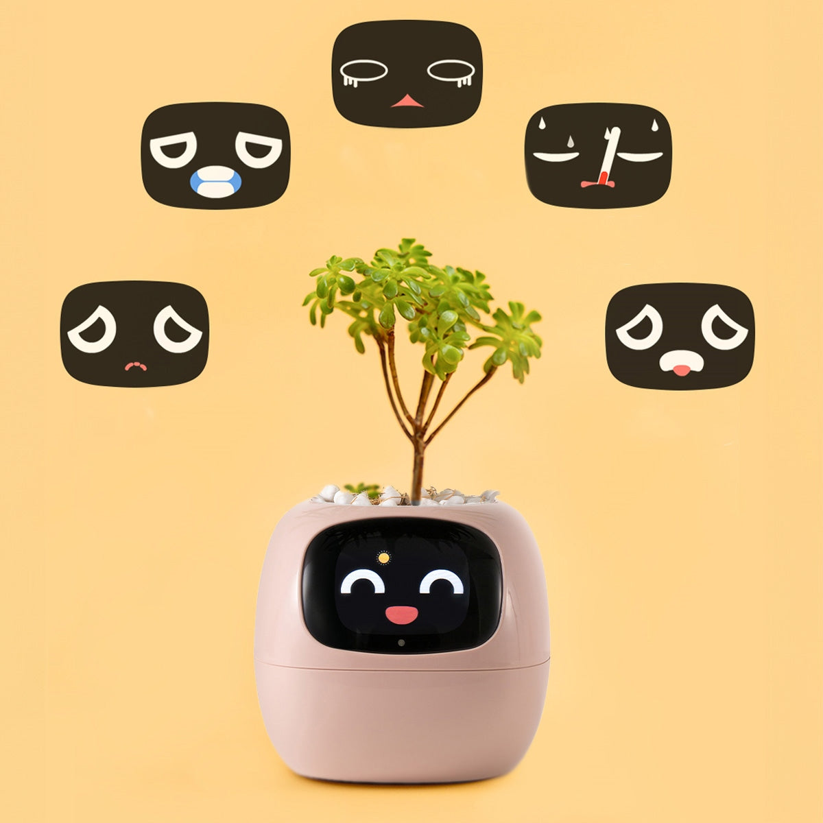 IVY PLANTER Flower Pot Smart Cover SMART Planter Gardening Tips Packaging status original