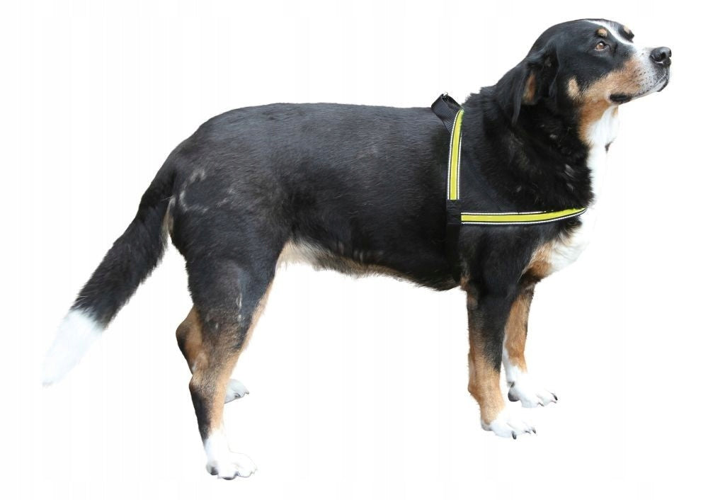 Illuminated Dog Harness 60-75 cm KERBL Packaging status original