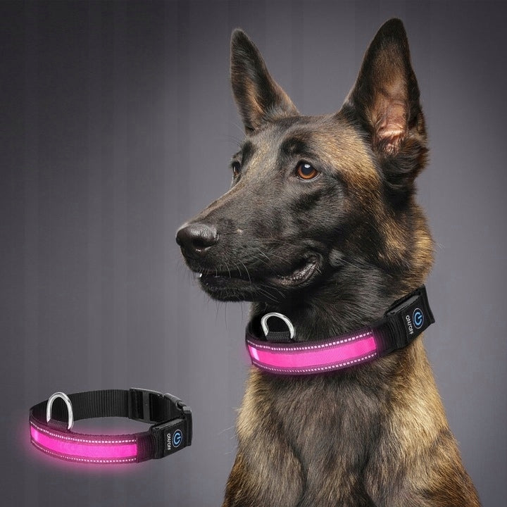 Illuminated LED Dog Collar, Adjustable, USB, Light Modes L