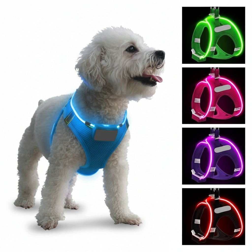 InAndOutdoorMatch - LED Lighted Dog Strip - Waterproof - Blue