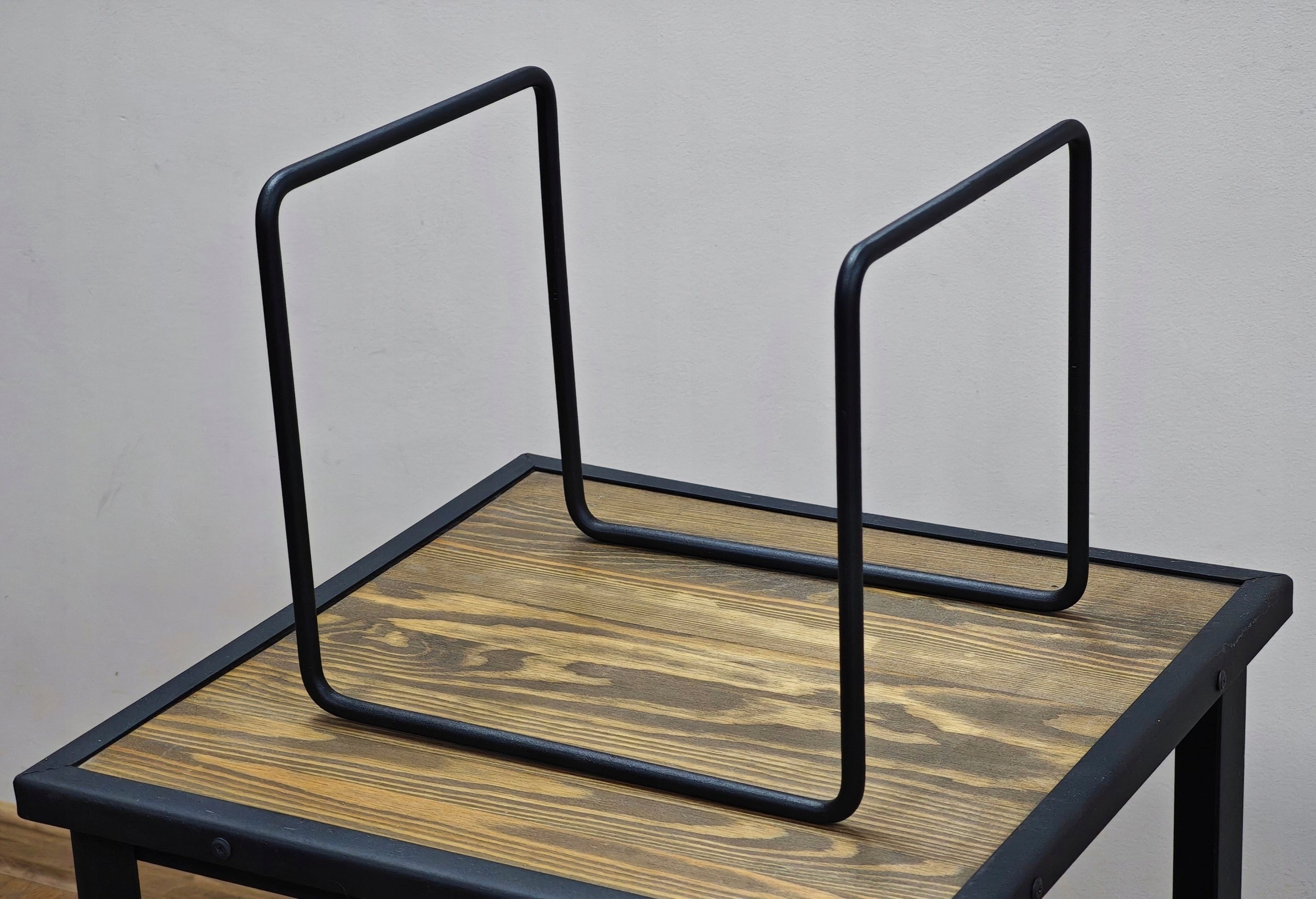 Indestructible Hanger - Vinyl record stand about 50 records Brand no brand