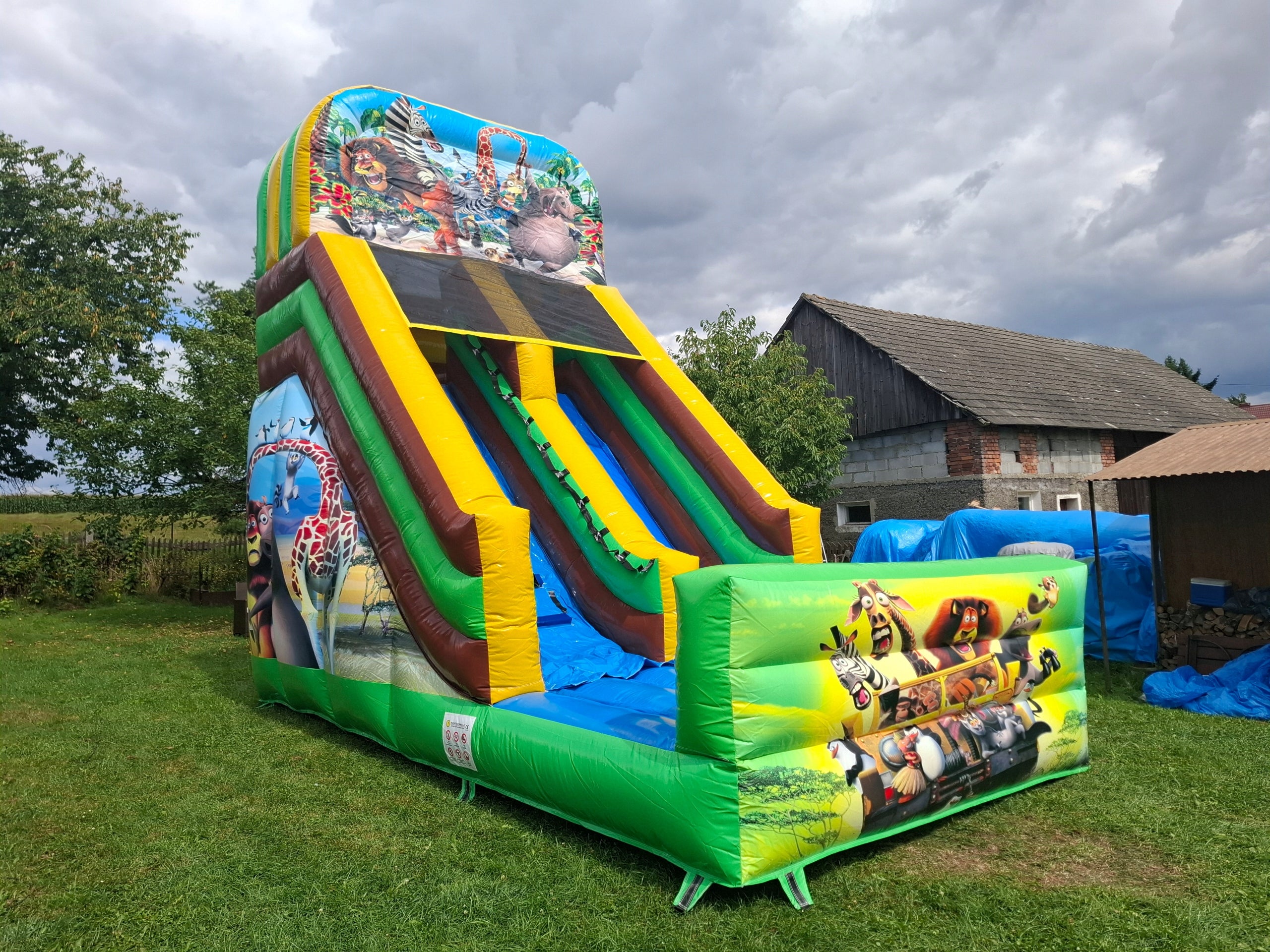 Inflatable Slide Animals Madagascar Inflatable Track Inflatable Castles Square Manufacturer code NP076