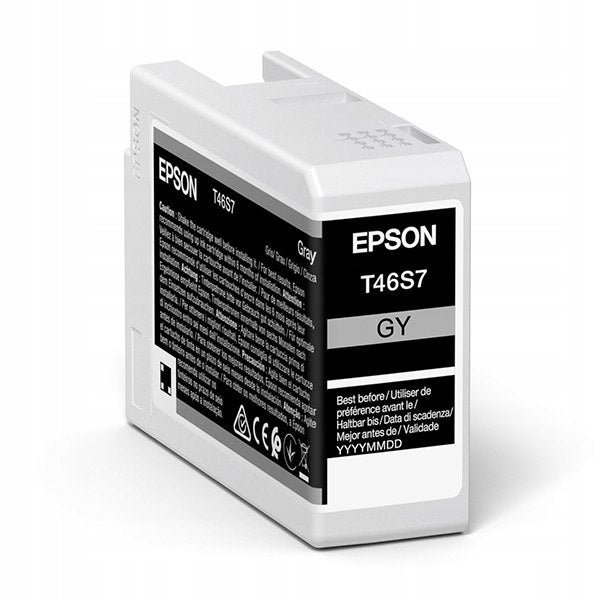 Inkoust Epson UltraChrome Pro šedý C13T46S700