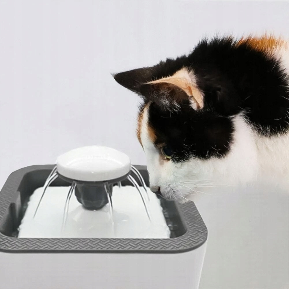 Innovative Water Dispenser for Dogs and Cats - Quiet Operation, Filtration Packaging status original