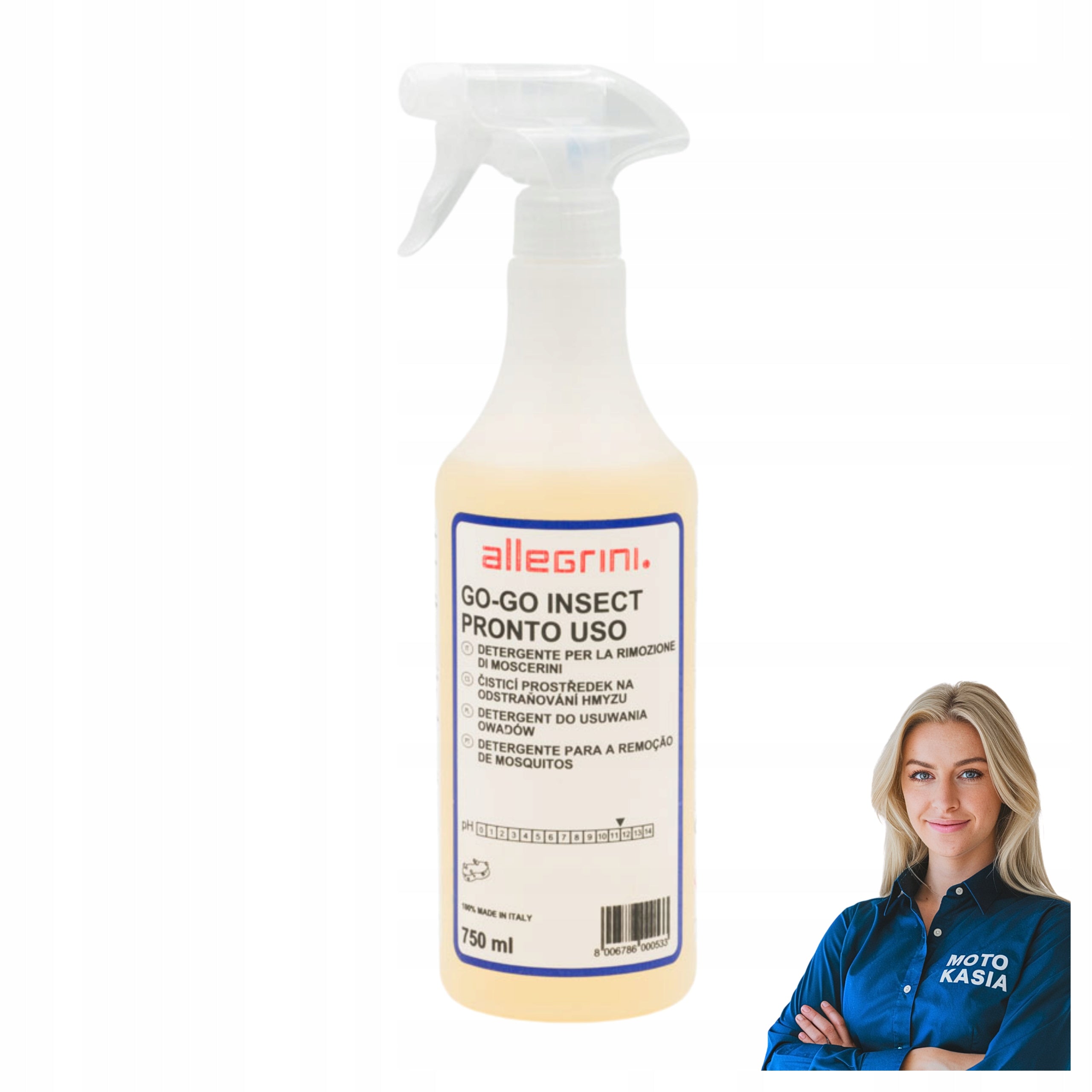 Insect remover Allegrini GoGo Insect 750ml ready to use