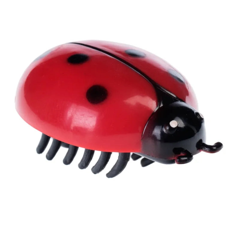 Insects Running Vibrating Set of 3 Battery Operated Cat Toy Packaging status original