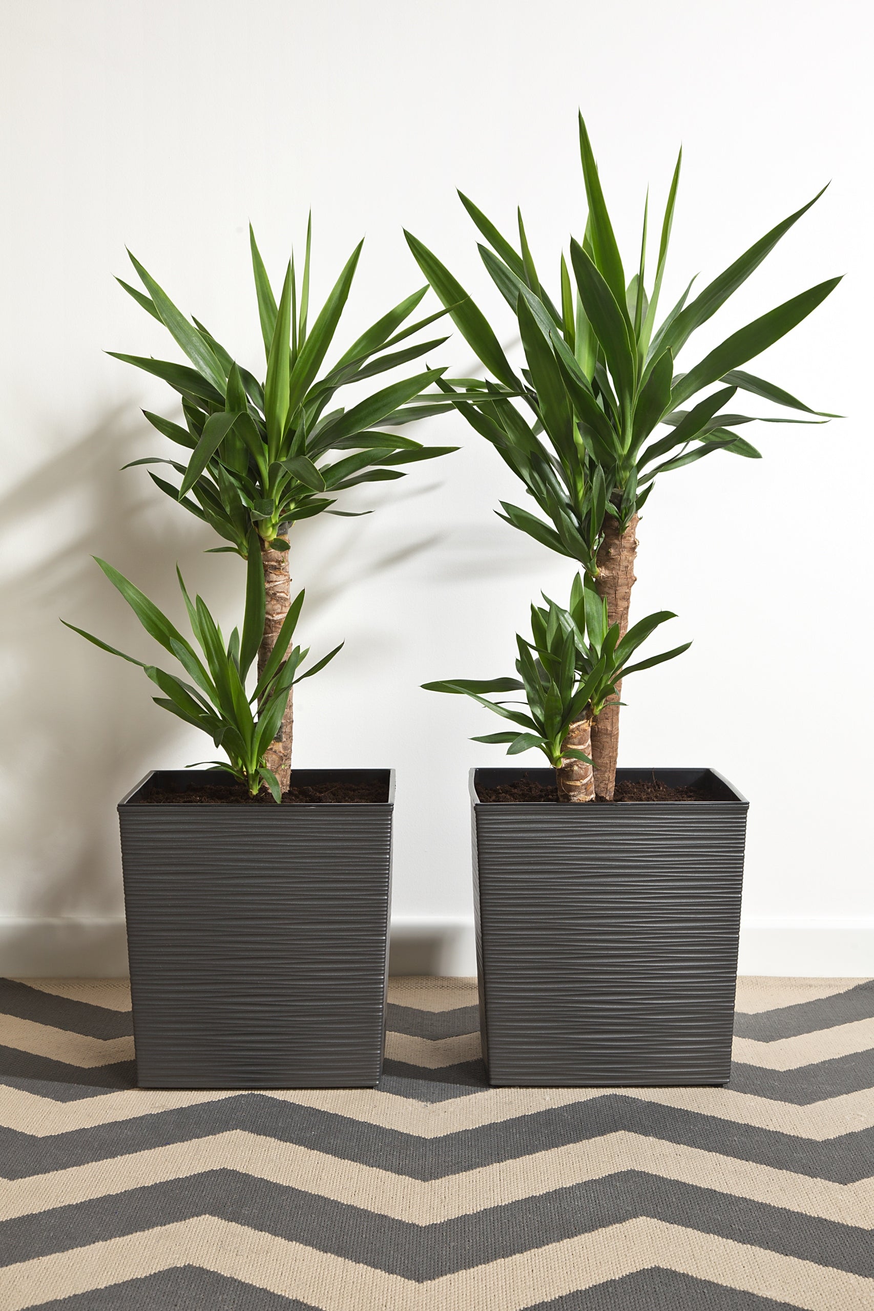 Insert for the JUKA / FINEZJA flowerpot 30x30cm Length 30 cm
