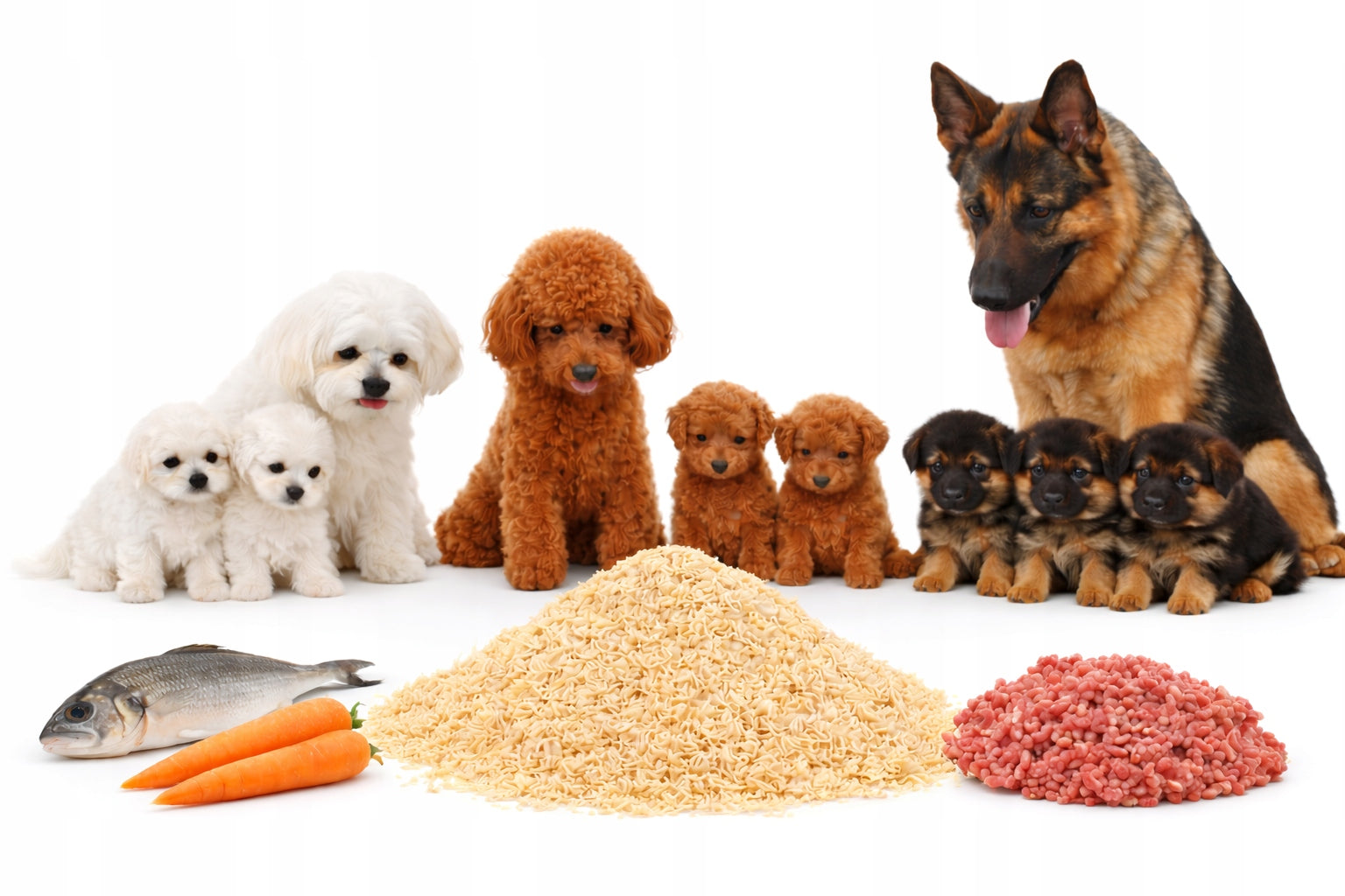 Instant Pasta CLEAN for Cat Dog WITHOUT ADDITIVES Instant 25kg Food Product weight 25 kg