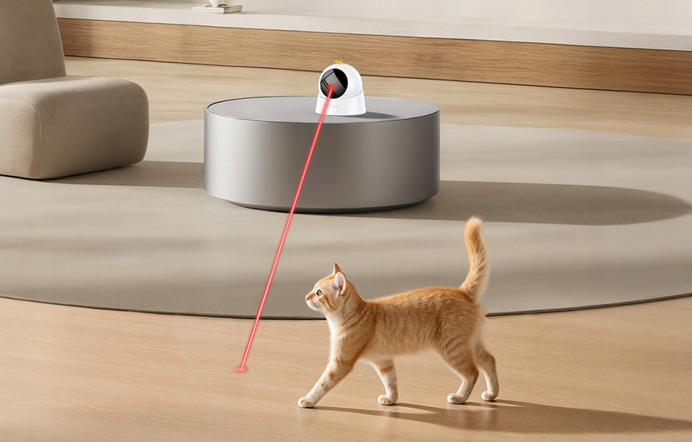 Intelligent Laser Rojeco For Cat and Dog Play Automatic USB-C Packaging status original