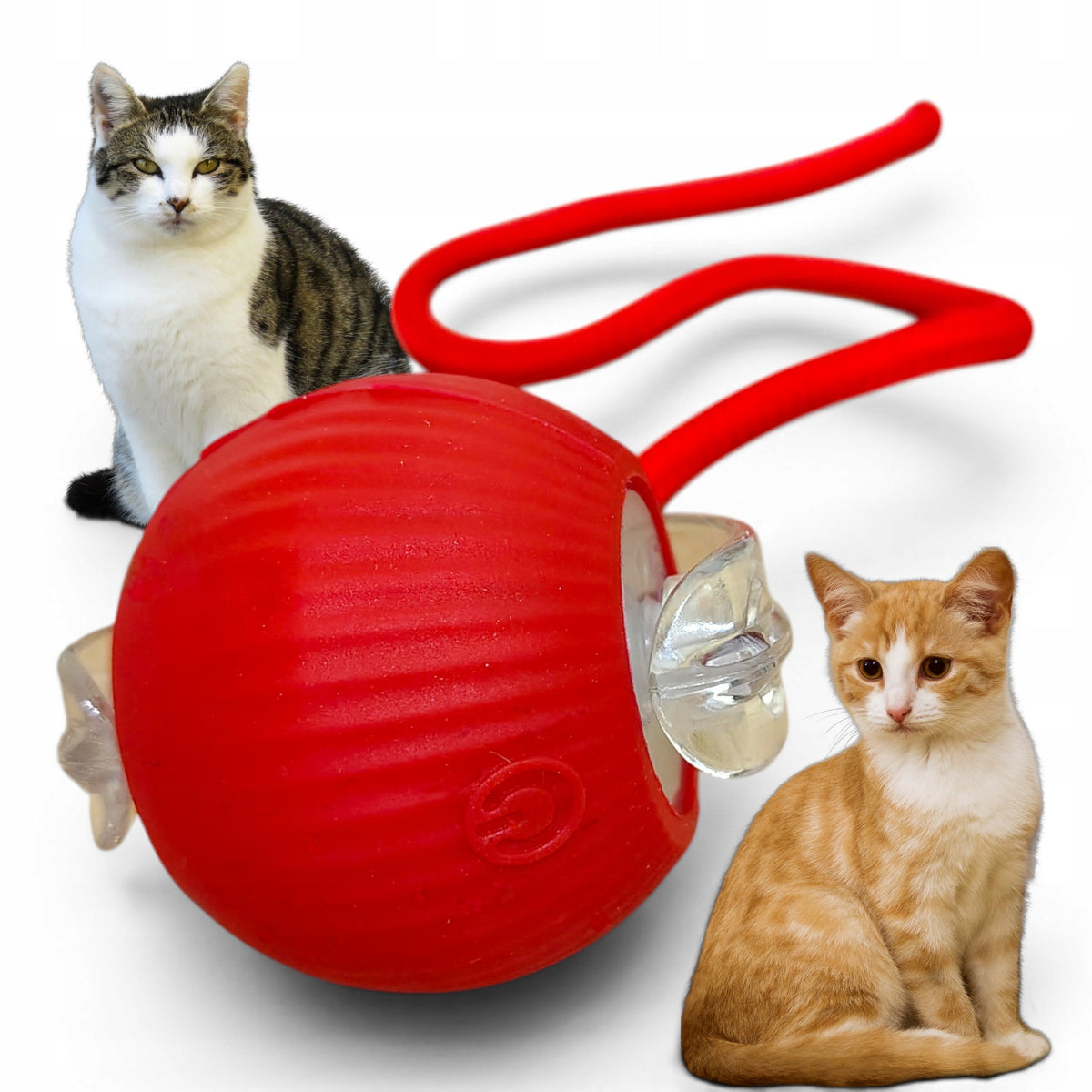 Interactive Cat Ball USB-C 3 Modes LED String Toy