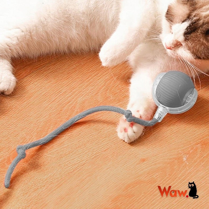 Interactive Cat Ball USB-C LED Automatic Moving 6 cm Grey Manufacturer code Uciekająca piłka interaktywna dla kota