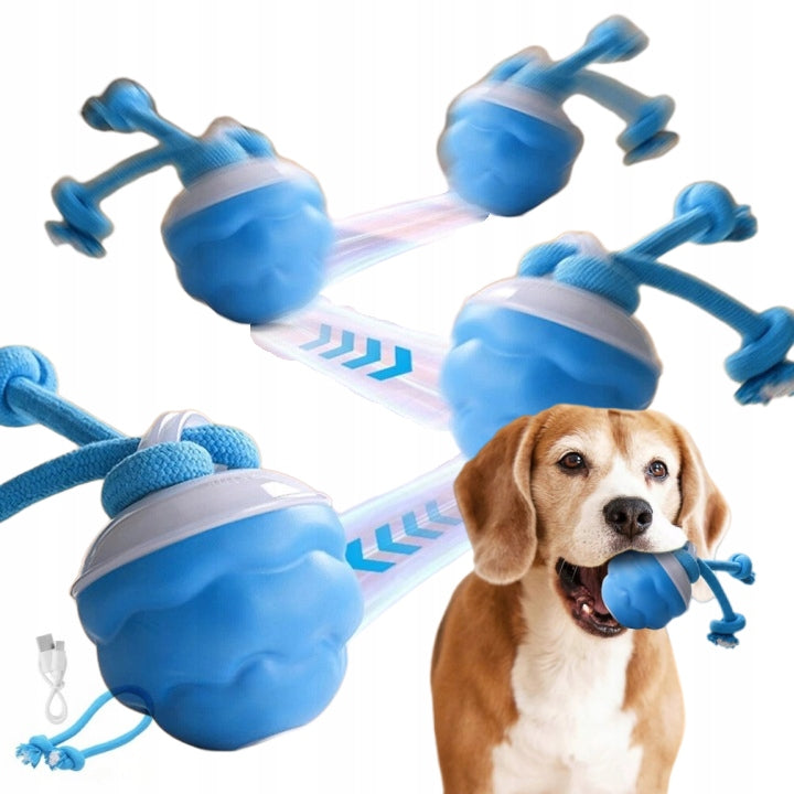 Interactive Cat Dog Toy Escape Jumping Ball Durable Dogs