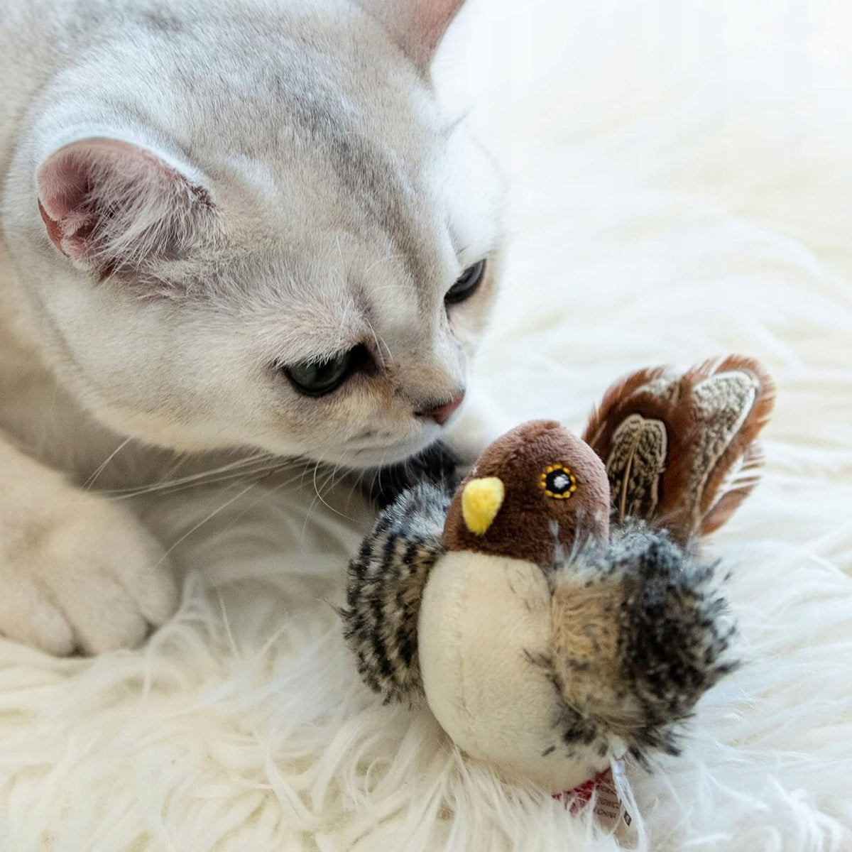 Interactive Cat Toy Bird With Sound 6 Animals Plush Hunting Manufacturer code hudonwanu95821052edd