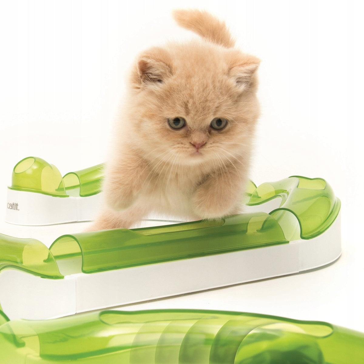 Interactive Cat Toy Catit Senses 2.0 Play Circuit Track for Kitten Packaging status original