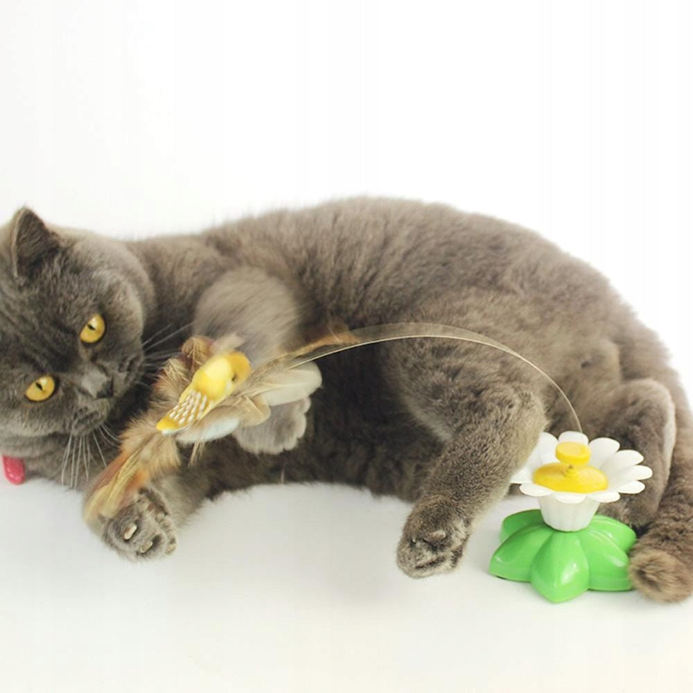 Interactive Cat Toy - Flying Hummingbird Brand no brand