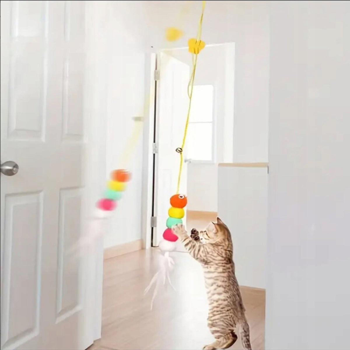 Interactive Cat Toy PETSTORY Balls with Feathers 2m Brand Petstory