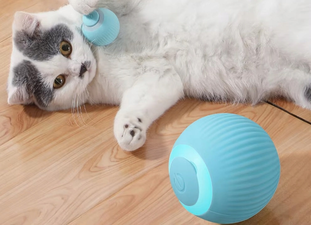 Interactive Runaway Ball for Cat and Dog – USB LED Toy (U021) Manufacturer code U021